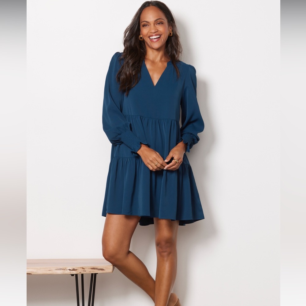 Blue long sleeve O.P.T. dress